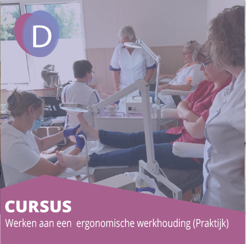 ergonomische werkhouding praktijk